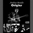 Andrea Braido - Origins